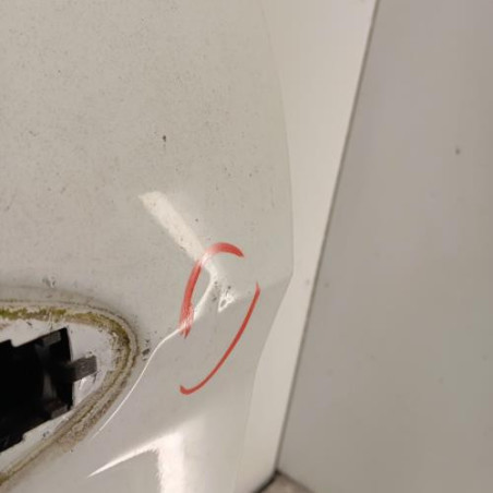 Porte avant gauche FORD B-MAX