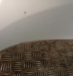 Aile avant droit FORD C-MAX 2 Photo n°5