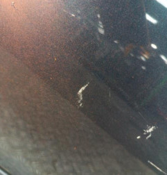 Porte avant gauche MERCEDES CLASSE C 203 Photo n°4