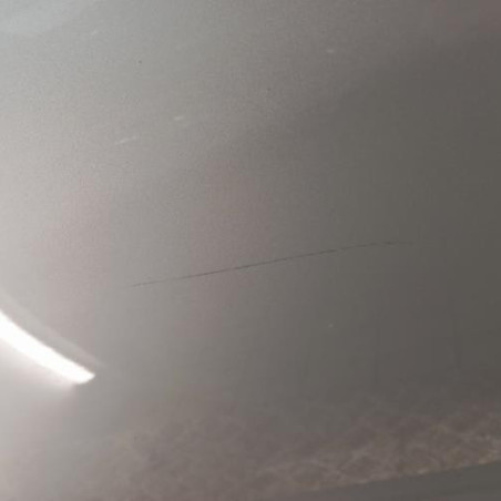 Porte avant gauche RENAULT MEGANE 3