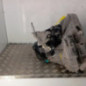 Boite de vitesses RENAULT CAPTUR 1
