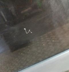 Porte avant gauche RENAULT KANGOO 2 Photo n°5