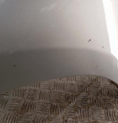 Aile avant gauche FORD FOCUS 3