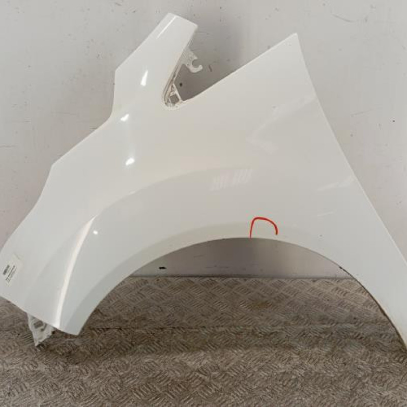 Aile avant gauche FORD B-MAX