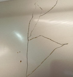 Aile avant gauche CITROEN C5 2