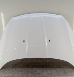 Capot FORD KUGA 2 Photo n°1