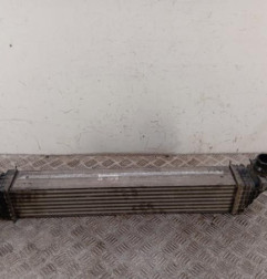 Echangeur air (Intercooler) RENAULT GRAND SCENIC 3 Photo n°1