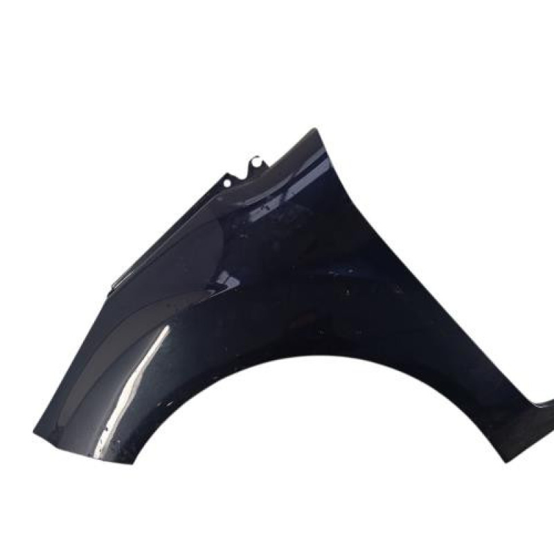 Aile avant gauche FORD FIESTA 6