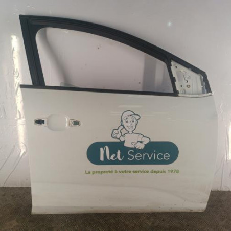 Porte avant droit DACIA SANDERO 3 Photo n°1