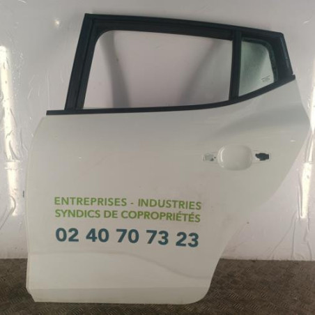 Porte arriere gauche DACIA SANDERO 3 Photo n°1