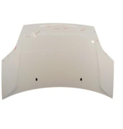 Capot FORD FIESTA 5 Photo n°1