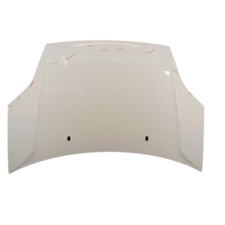 Capot FORD FIESTA 5 Photo n°1