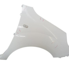 Aile avant droit RENAULT KANGOO 2 Photo n°1