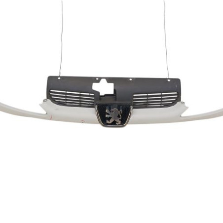 Calandre PEUGEOT 206 Photo n°1