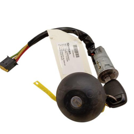 Neiman RENAULT CLIO 2 Photo n°1