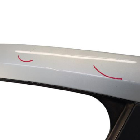 Porte avant gauche RENAULT LAGUNA 2