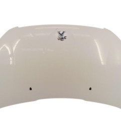 Capot PEUGEOT 2008 1 Photo n°1