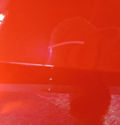 Porte avant gauche SEAT IBIZA 4 Photo n°4