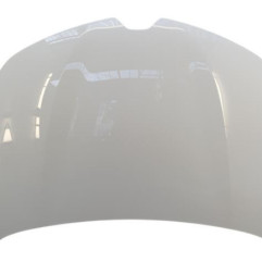 Capot RENAULT CLIO 5 Photo n°1