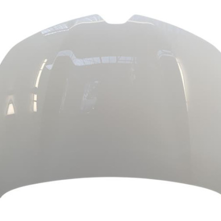 Capot RENAULT CLIO 5 Photo n°1