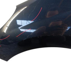 Aile avant gauche PEUGEOT 207 Photo n°3