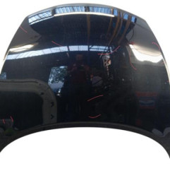 Capot NISSAN JUKE 1 Photo n°1