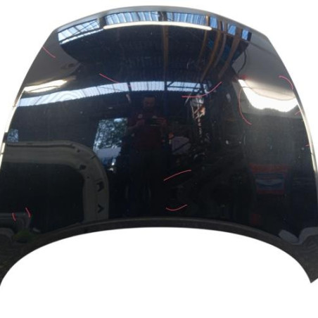 Capot NISSAN JUKE 1 Photo n°1