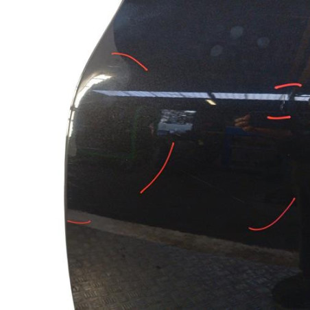 Porte arriere gauche NISSAN JUKE 1