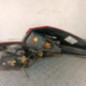 Feu arriere principal gauche (feux) RENAULT WIND
