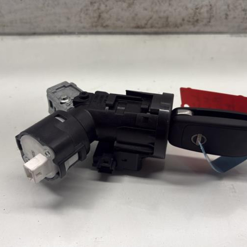 Neiman NISSAN PRIMASTAR 2