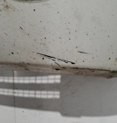 Pare choc avant CITROEN BERLINGO 1 Photo n°4