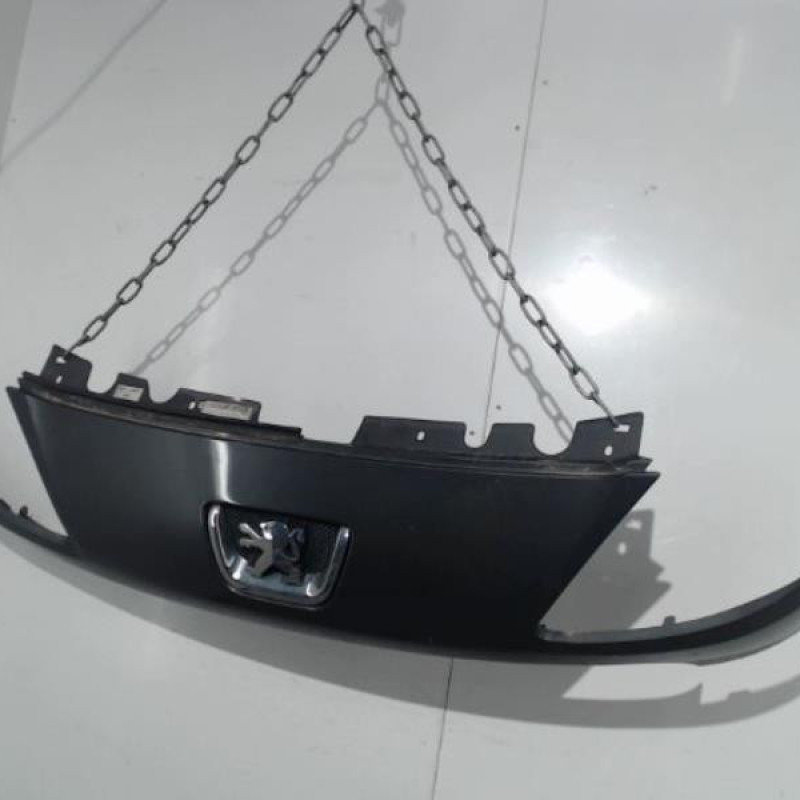 Calandre PEUGEOT 1007