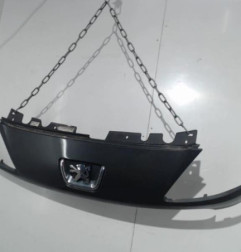 Calandre PEUGEOT 1007 Photo n°3