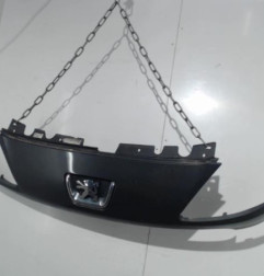 Calandre PEUGEOT 1007 Photo n°5