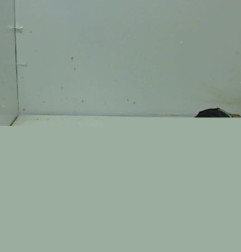 Cardan droit (transmission) FIAT DUCATO 3 Photo n°1