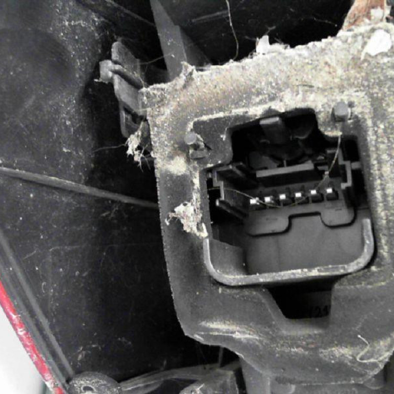 Feu arriere principal droit (feux) RENAULT SCENIC 2