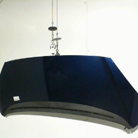 Capot PEUGEOT 1007 Photo n°1