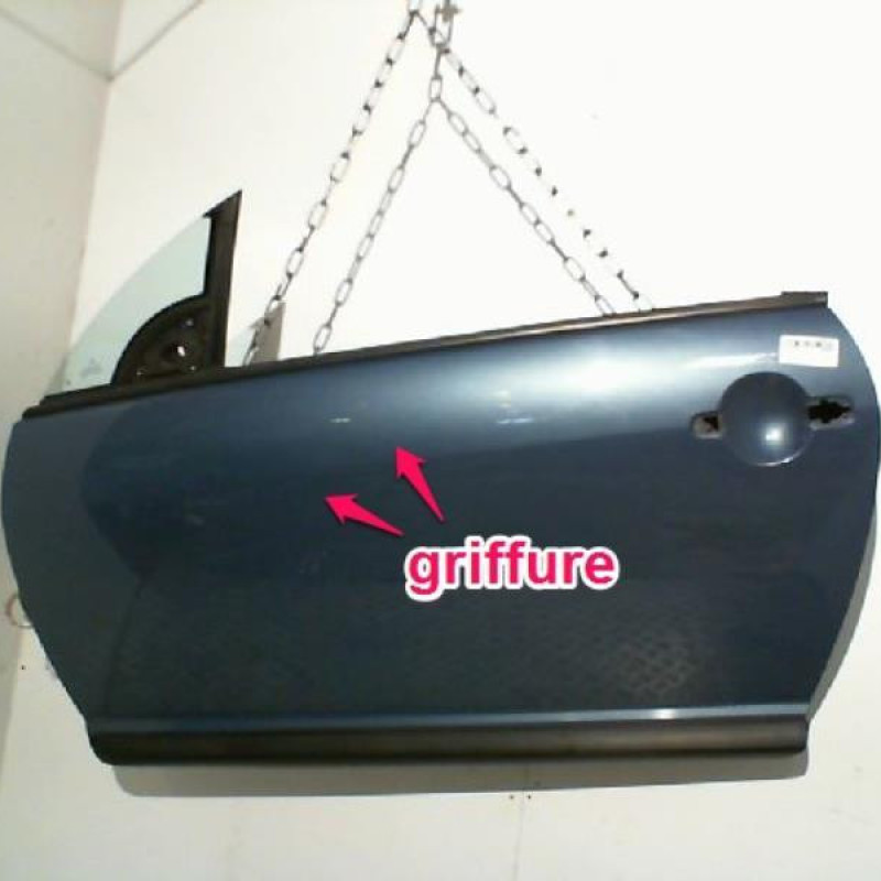 Porte avant gauche CITROEN C3 PLURIEL