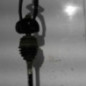 Cardan gauche (transmission) TOYOTA YARIS 2