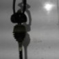 Cardan gauche (transmission) TOYOTA YARIS 2