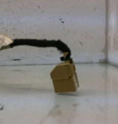 Retroviseur gauche AUDI A2 Photo n°6