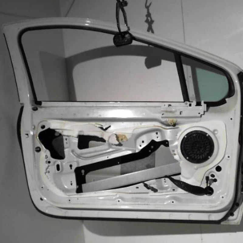Porte avant gauche PEUGEOT 308 1