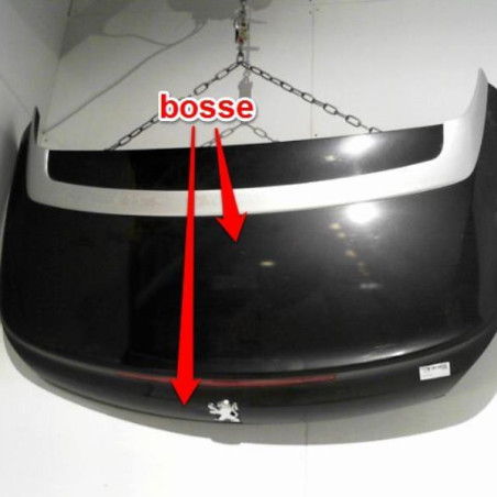 Malle/Hayon arriere PEUGEOT 207 Photo n°1