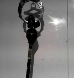 Cardan gauche (transmission) CITROEN C3 2