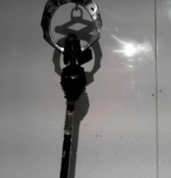 Cardan gauche (transmission) CITROEN C3 2 Photo n°6