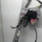 Leve vitre electrique avant droit RENAULT CLIO 3