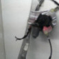 Leve vitre electrique avant droit RENAULT CLIO 3