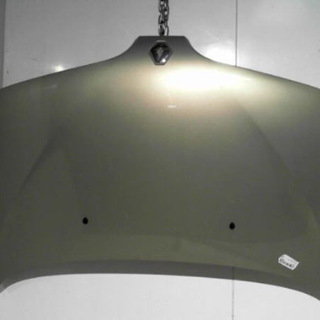 Capot RENAULT SCENIC 1 Photo n°1