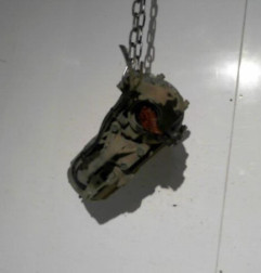 Pont (propulsion) PEUGEOT 4007 Photo n°3