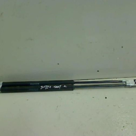 Verin de coffre PEUGEOT 1007 Photo n°1